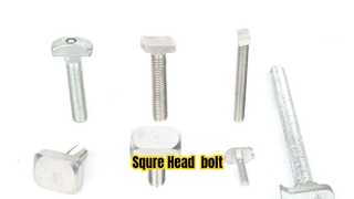 Bu lông đầu Squre